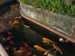 -侠成水上农庄(工业大道店)