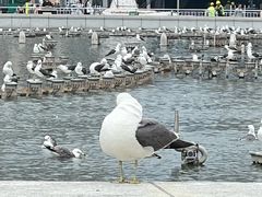 -星海广场