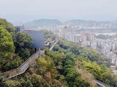 -福道