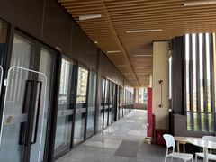 -大米和小米儿童成长中心·社交言语·感统·学习力提升(光明中心)