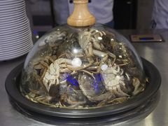 -澜悦港海鲜体验主题餐厅