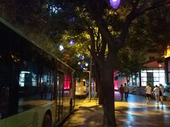 -清真李唯一优质肉丸糊辣汤