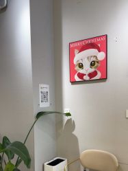 点击看大图 -洗脸猫·洗脸吧