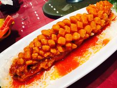 -田园小观园(武大店)