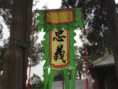 -关林