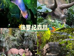 -广州长隆野生动物世界