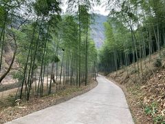 -水墨汀溪风景区
