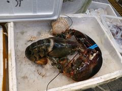 -青石桥市场北1-27号