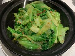 XO酱焗生菜-新花城蟹粉馆(乌鲁木齐店)