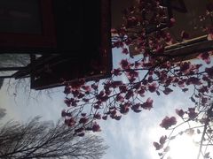iphone_upload_pic-北京水岸山吧度假村(雁栖镇店)