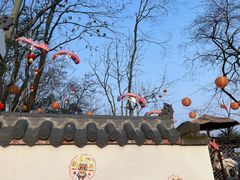 -伴山茶苑·围炉煮茶