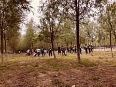 -亲兄弟真人CS团建拓展基地