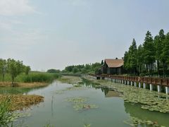 -太湖湖滨国家湿地公园-停车场