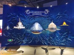 -烟台海昌鲸鲨海洋公园
