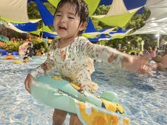 -苏州乐园森林水世界