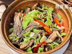 -缘生态云南菜·野生菌庭院餐厅(华侨城店)