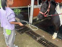 -名驭国际马术学院
