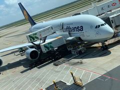 -德国汉莎航空公司