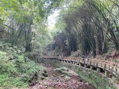 -凤栖山