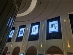 -纵横国际影城杜比全景声巨幕(天安云谷店)