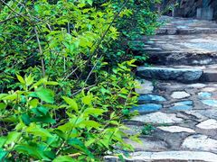 -北京鹫峰国家森林公园