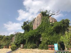-云南野生动物园
