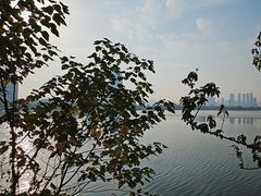 -金银湖国家城市湿地公园
