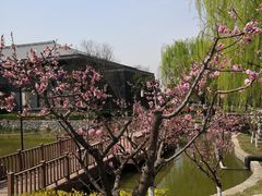 -鹦鹉寺公园