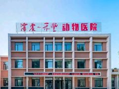 -派美特宠物医院·核磁CT·骨科肿瘤·疑难转诊(沈农禾丰店)