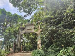 -梧桐山风景名胜区