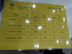 -杨梅红艺术教育(万象城校区)