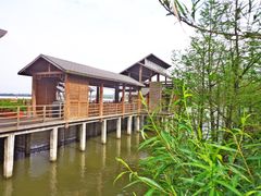 -溱湖国家湿地公园