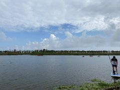 -春花秋色城市公园