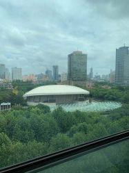 -海豚湾高端月子会所(黄浦店)