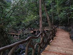 -江西阳明山国家森林公园