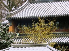 -灵谷景区