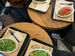-油梨树 AVOCADO TREE(亮马桥店)