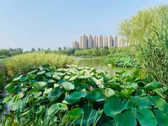 -燕郊植物园