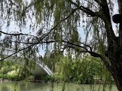 -花溪公园