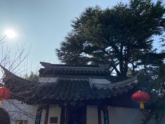 -水绘园