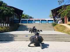 门面-广东惠东海龟国家级自然保护区