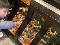 -龙悦湾酒家·八阵鱼生·渔人码头店