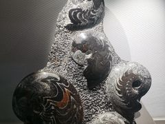 -中国地质博物馆