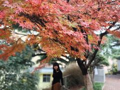 -西安市纺织公园