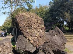 -海口火山口国家地质公园