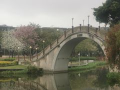 -金砂公园