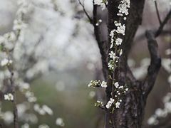 -东山风景区(洞庭东山)