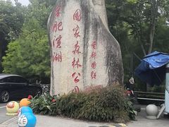 -合肥滨湖国家森林公园