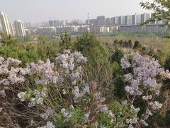 -南翠屏公园