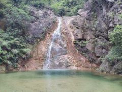 -南海湾森林生态园